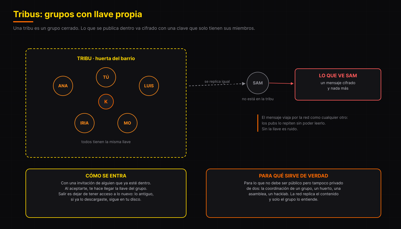 Tribus