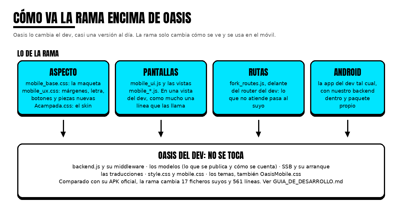 Cómo va la rama encima de Oasis
