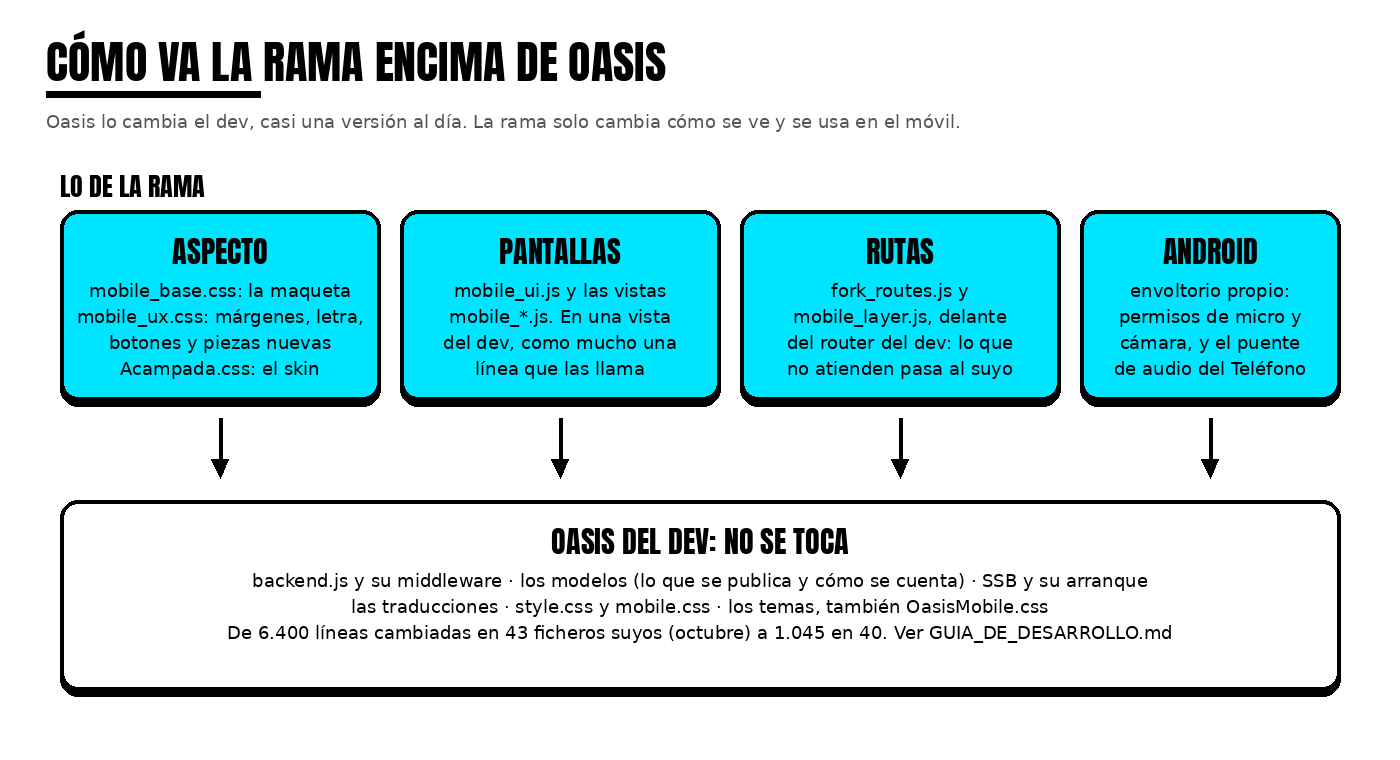 Cómo va la rama encima de Oasis