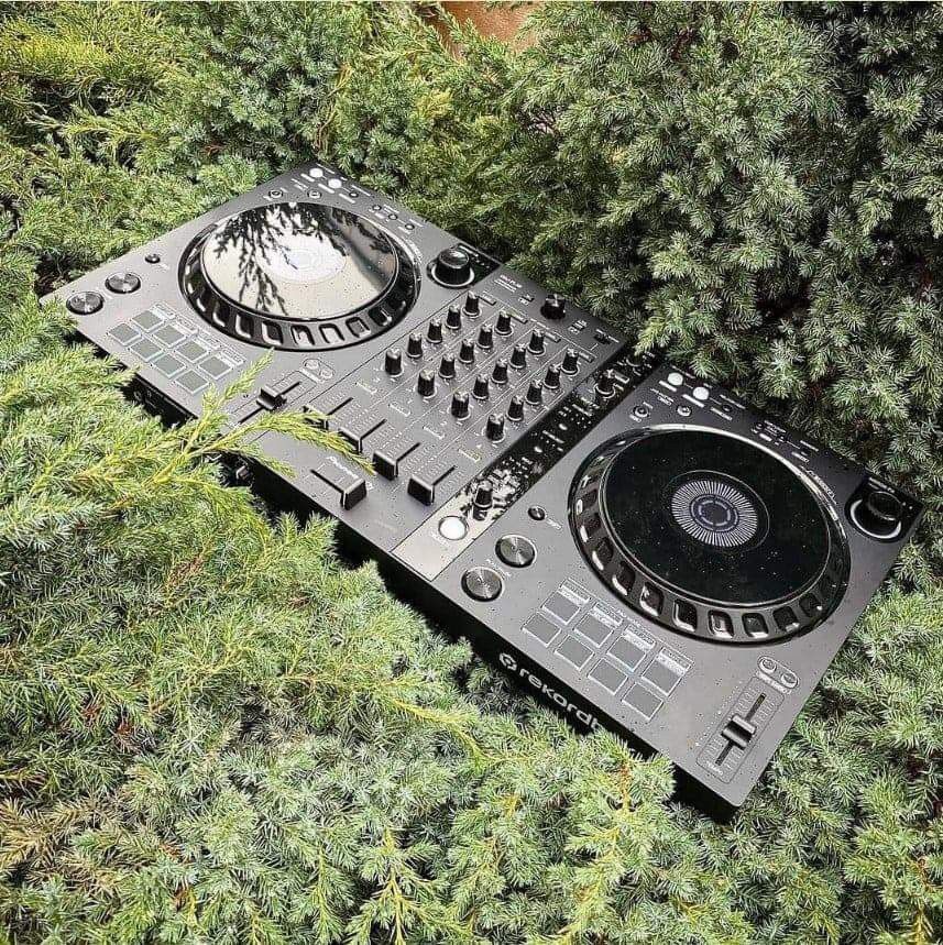 Set plantas